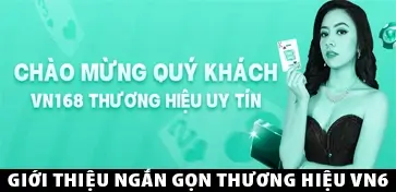 Giới thiệu ngắn gọn thương hiệu VN6